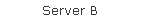 Server B