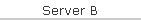 Server B