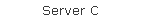Server C